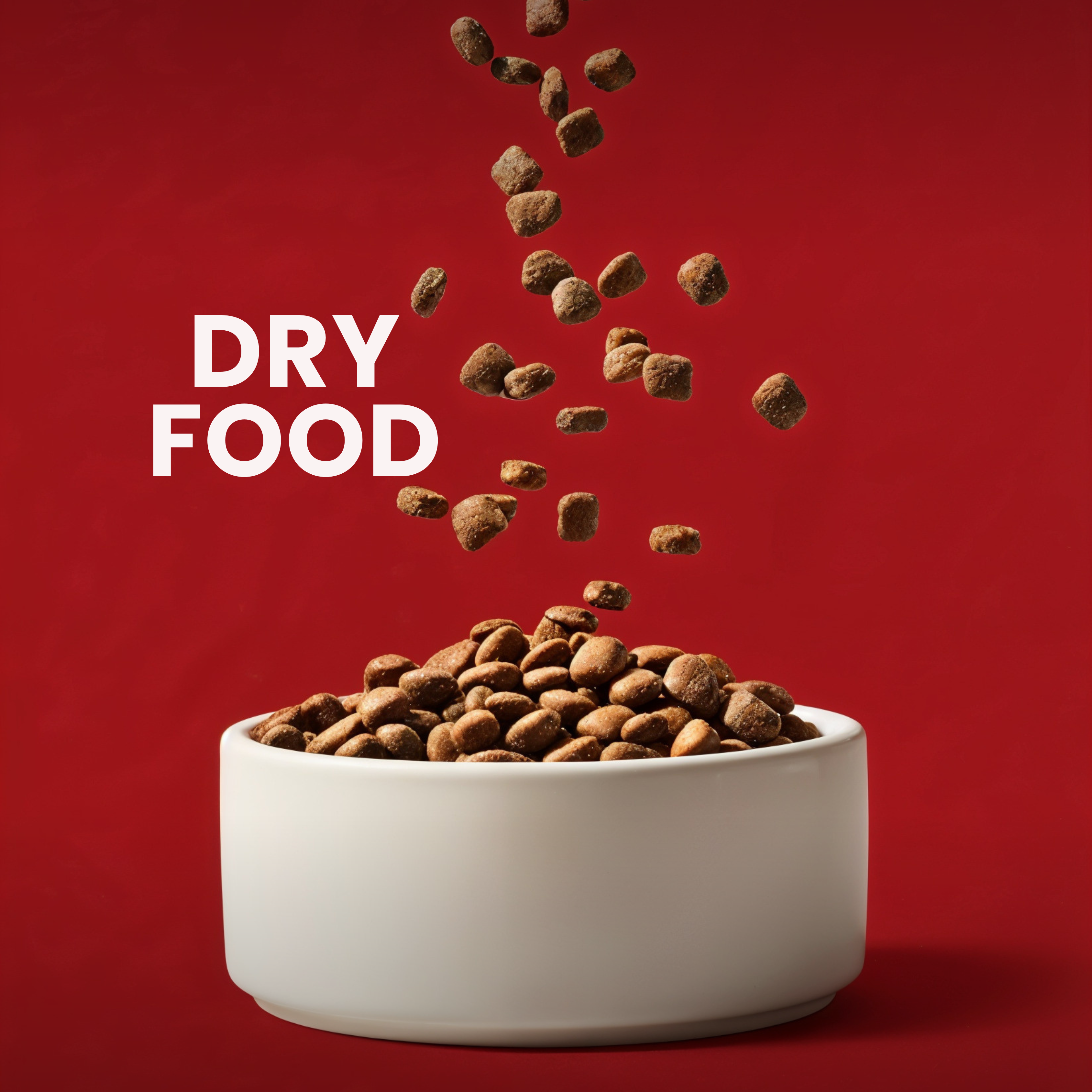 Dry Dog Food
