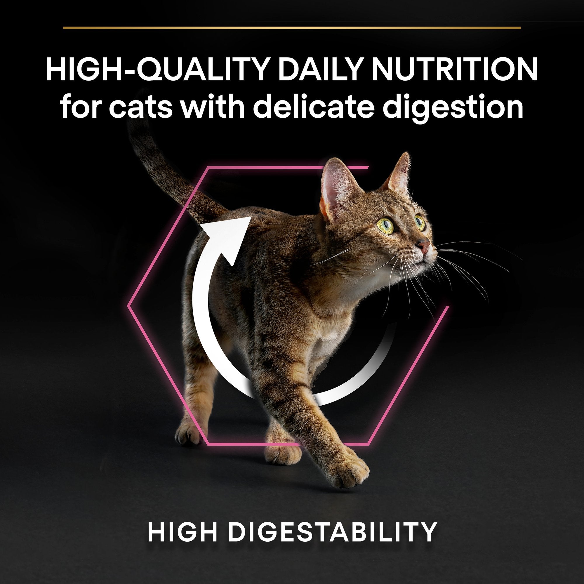 Purina Pro Plan Delicate Sensitive Dinde & Riz (400 G)