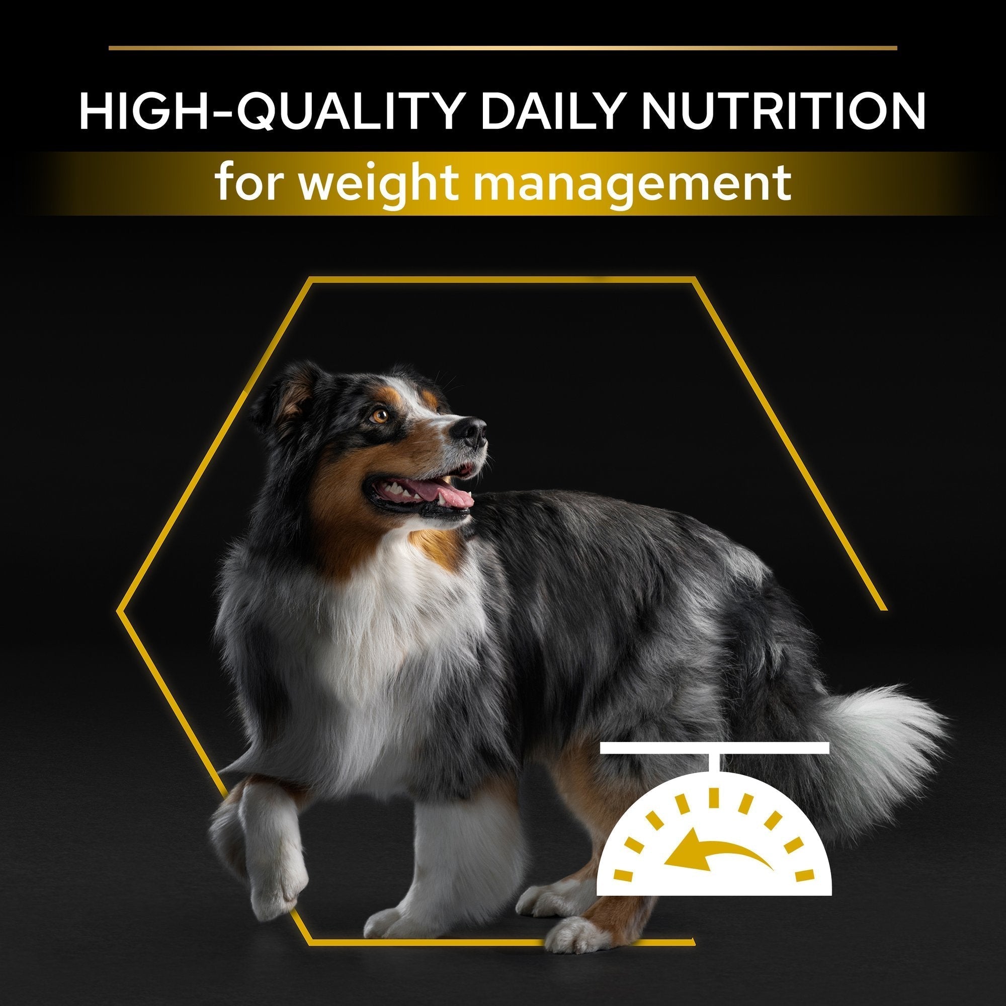 Purina Pro Plan All Size Adult Light/ Sterilised Optiweight 3kg