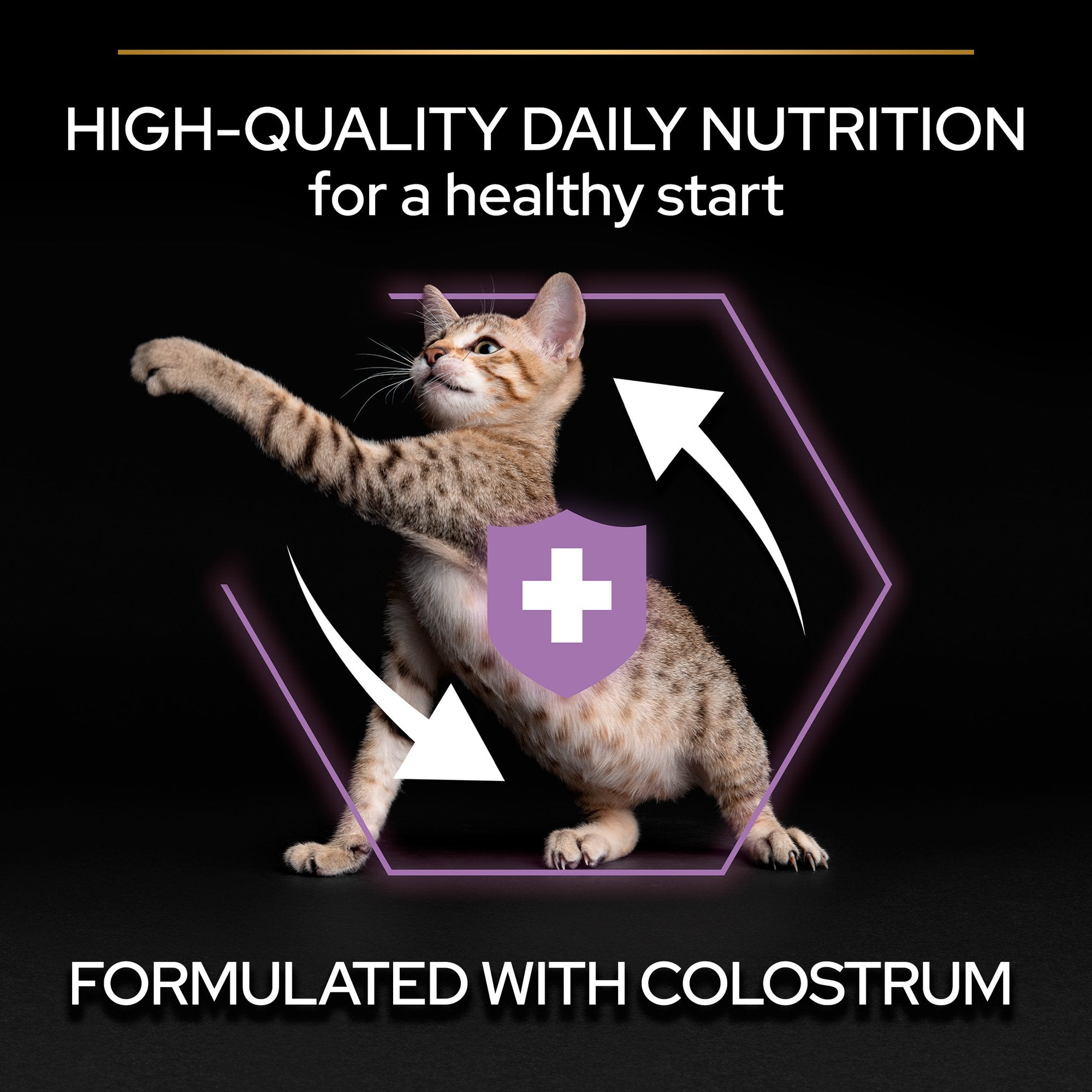 Purina Pro Plan Kitten 400g