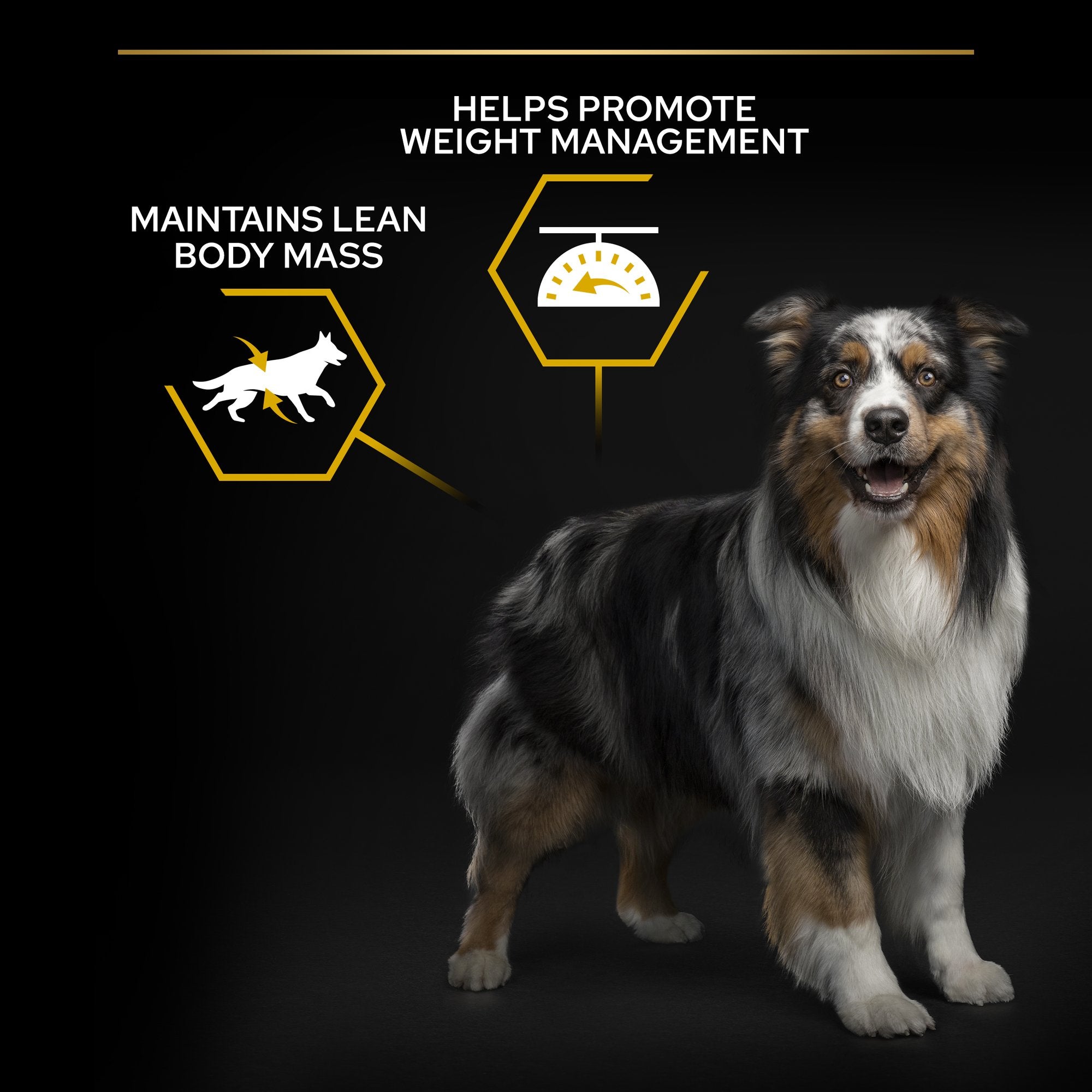 Purina Pro Plan All Size Adult Light/ Sterilised Optiweight 3kg