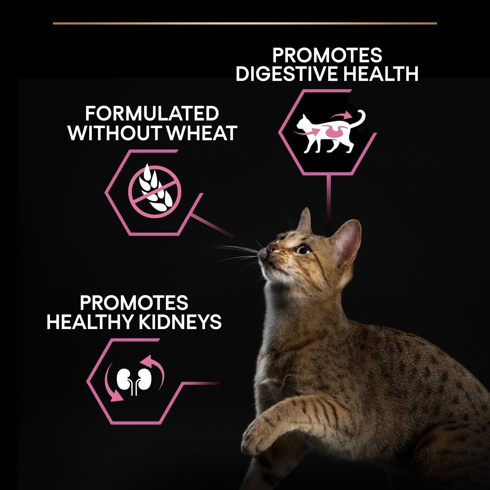 Purina Pro Plan Delicate Sensitive Dinde & Riz (400 G)