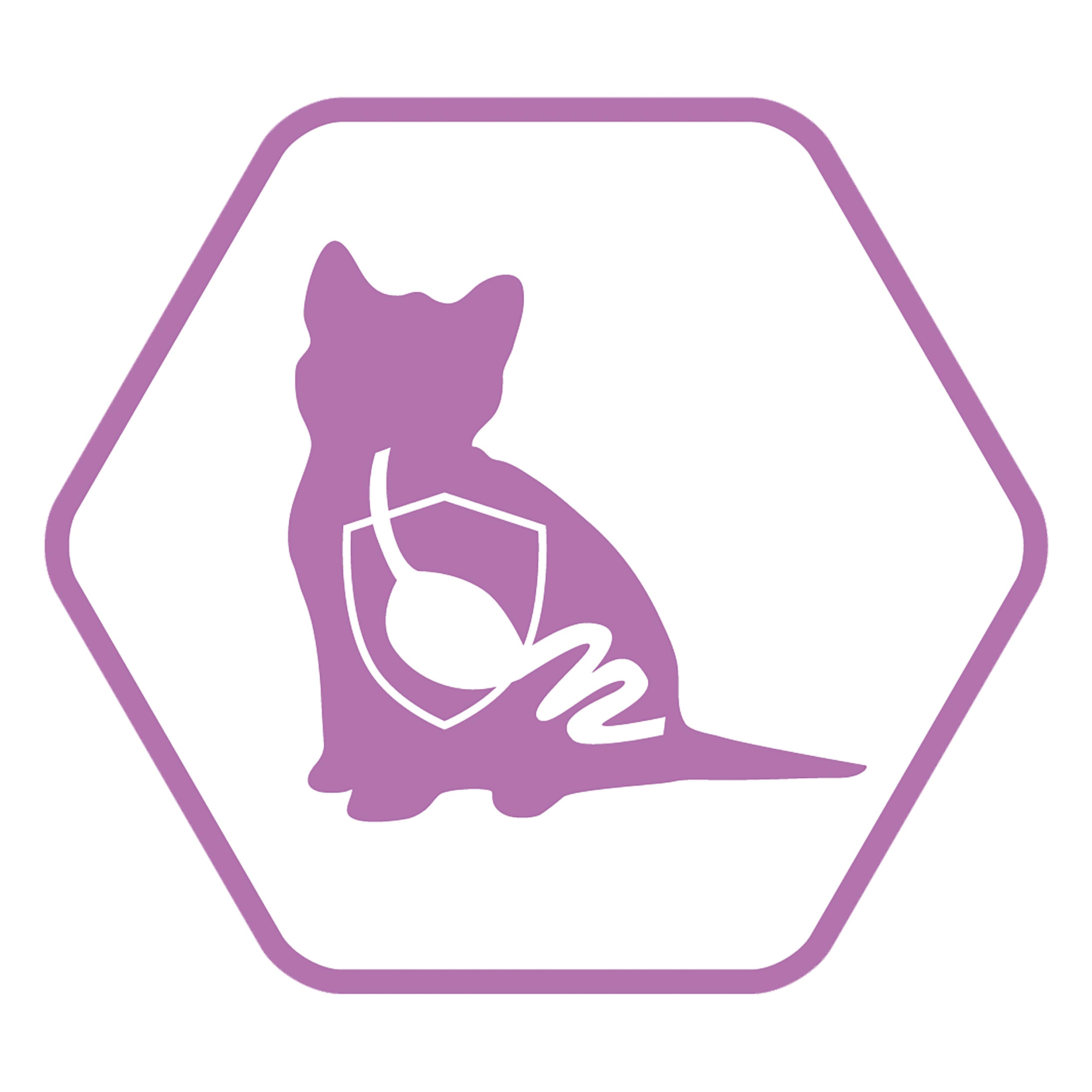 Purina Pro Plan Kitten 400g