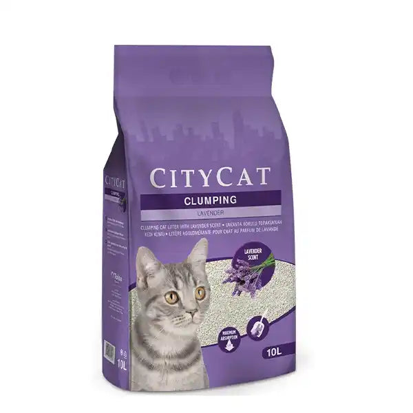 CITYCAT CLUMP WHITE Lavender 10 L