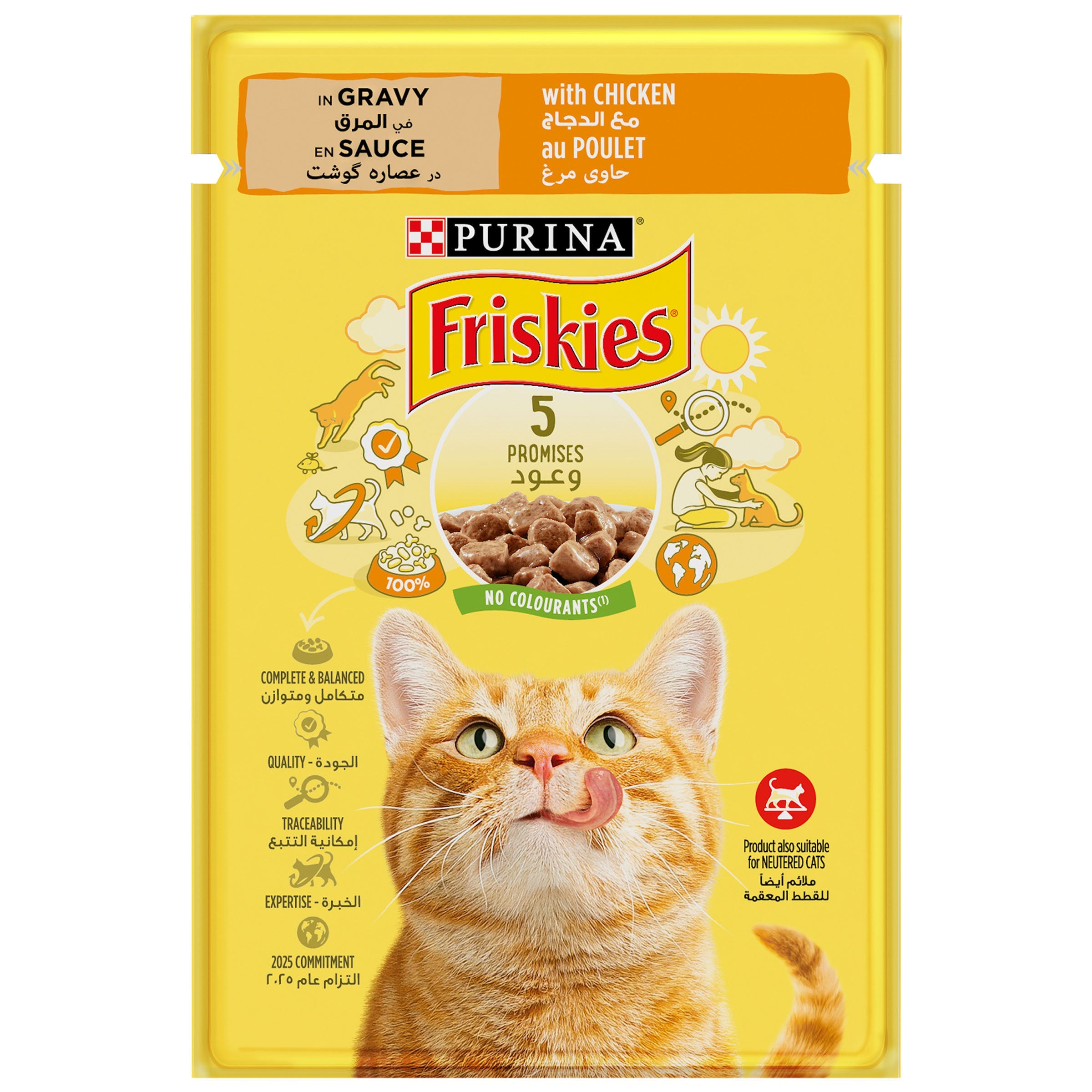 Pouch Frisks Chicken 85g
