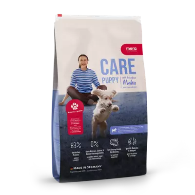 Mera Care Dogs Puppy 4k