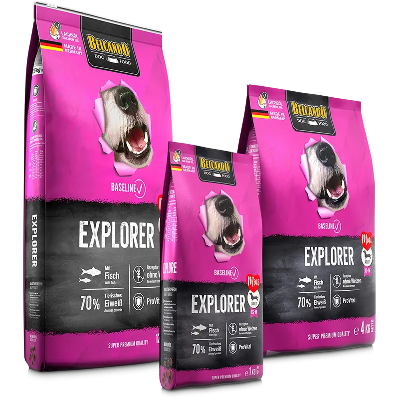 Belcando Baseline Explorer 4 kg