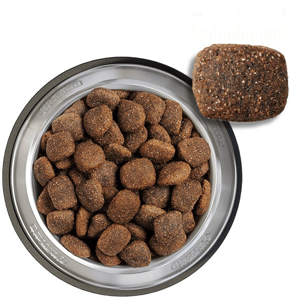 Belcando Adult Ocean Fish - 4 kg