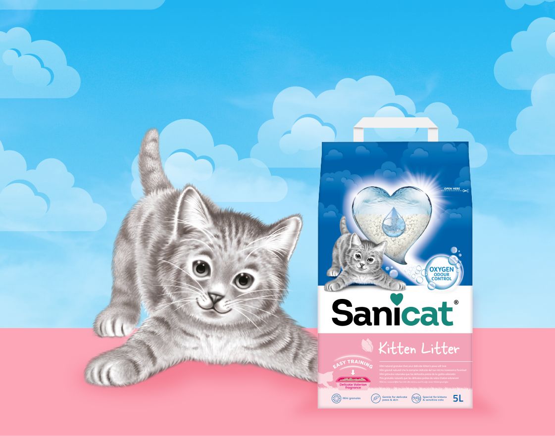 SANI CAT Kitten Easy Training - 5 L