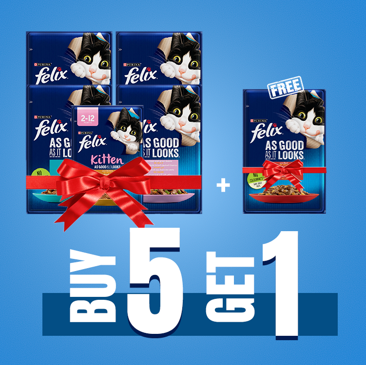 Buy 5 Get 1 | PURINA FELIX As Good as it Looks Salmon Pouch 85g